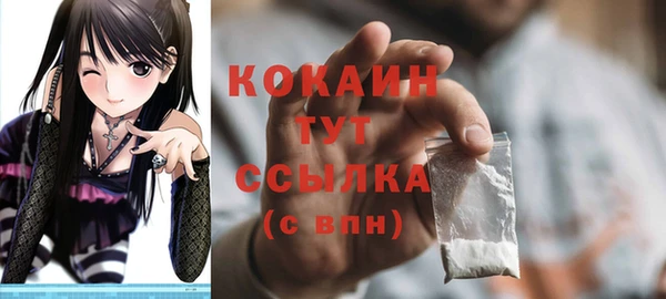 гашик Остров