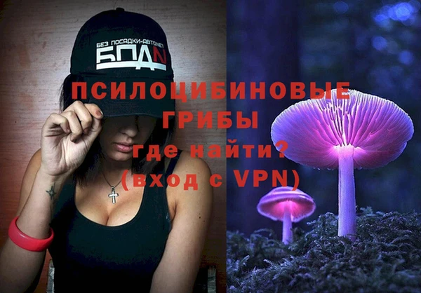 гашик Алзамай