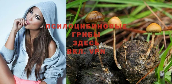 мяу мяу мука Осташков