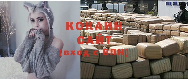 гашик Алзамай