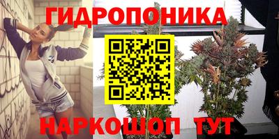 шишки Партизанск