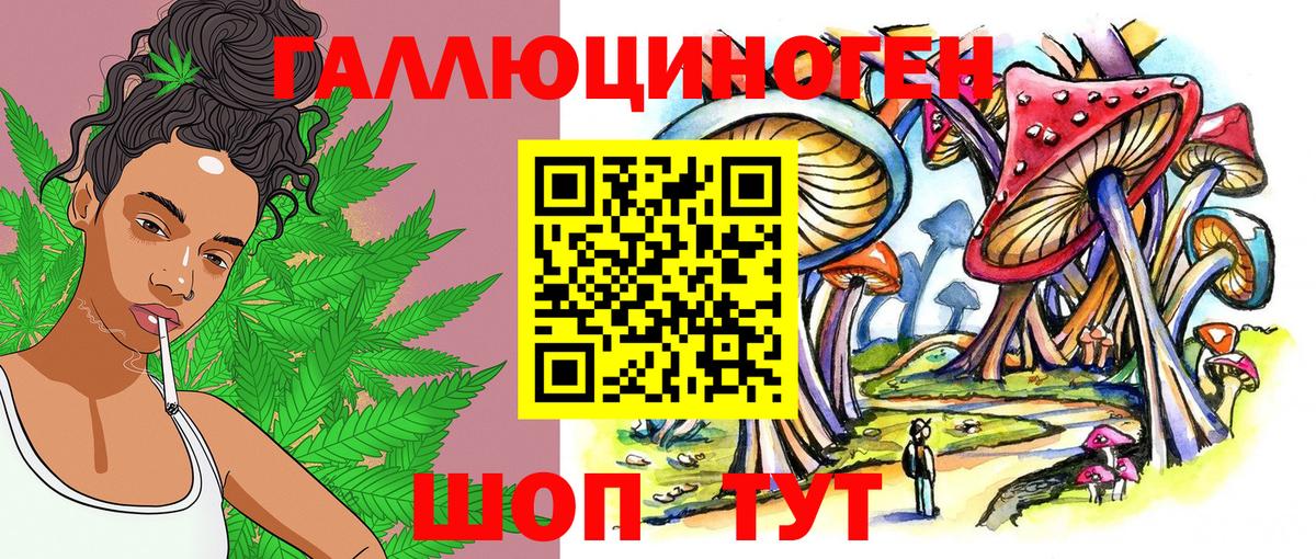 Галлюциногенные грибы Cubensis Саров